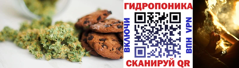 купить наркотики цена  Бокситогорск  МЕГА сайт  Canna-Cookies марихуана 
