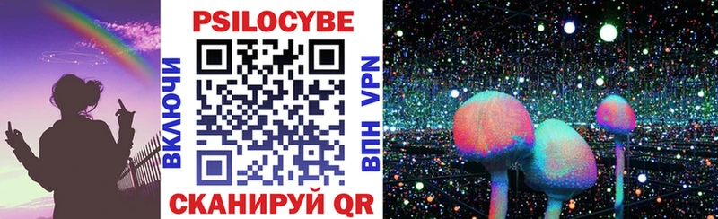 купить наркоту Бокситогорск Псилоцибиновые грибы Psilocybine cubensis