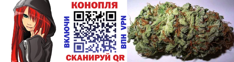 Конопля сатива Бокситогорск
